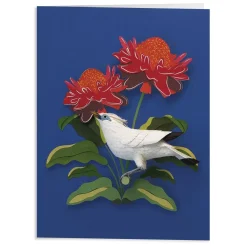 Birds Of The World Greeting Assortment Notecard Set