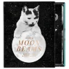 Moonbeams Greeting Card Assortment