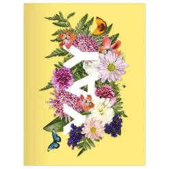 Say It With Flowers Greeting Assortment Notecard Box