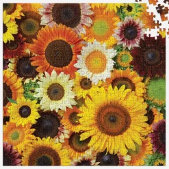 Sunflower Blooms 500 Piece Puzzle