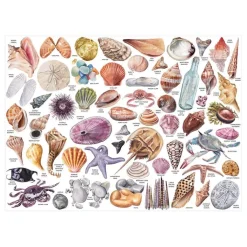 The Beachcomber's Companion 1000 Piece Jigsaw Puzzle With Shaped Pieces