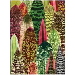 Troy Litten Houseplant Jungle Greeting Assortment Notecards