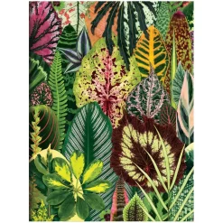Troy Litten Houseplant Jungle Greeting Assortment Notecards