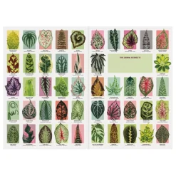 Troy Litten Houseplant Jungle A5 Journal