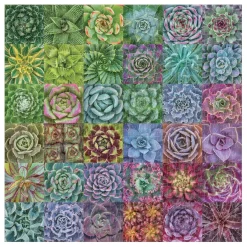 Troy Litten Succulent Spectrum 500 Piece Jigsaw Puzzle